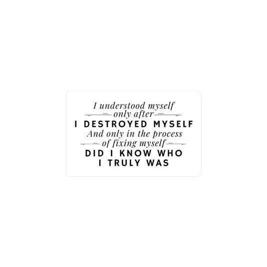 After I destroyed Myself Kiss-Cut Vinyl Decals